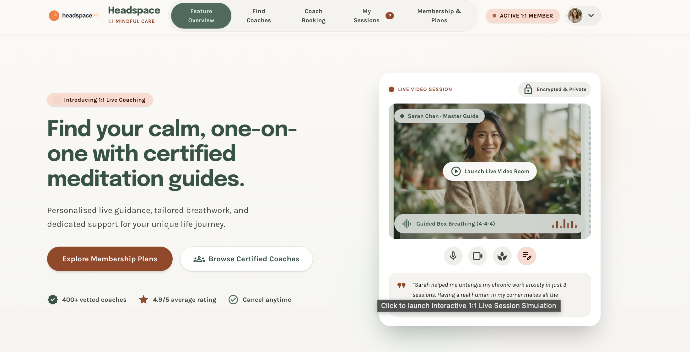 Screenshot of the concept landing page: the headline "Now introducing live 1:1 meditation sessions", Pricing and Learn more buttons, and a laptop and phone showing a video meditation session.
